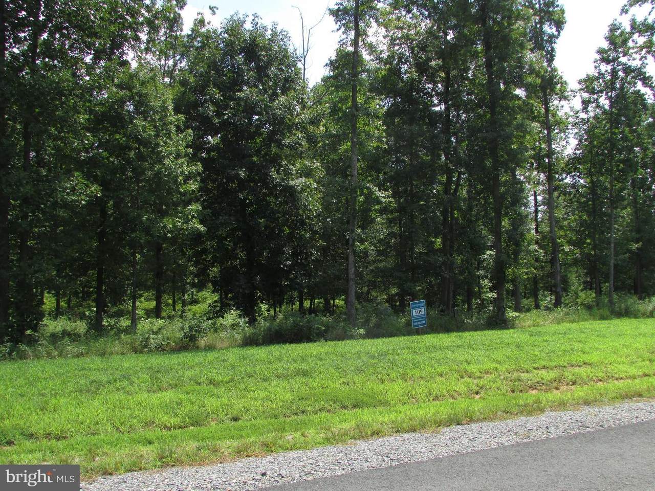 Lot 109 Fairview Drive (West) - Photo 1
