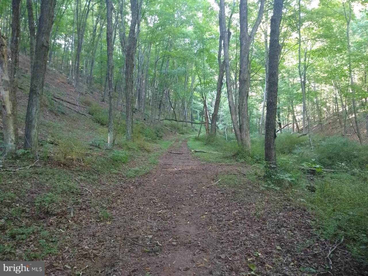 off Raystown Road - Photo 1