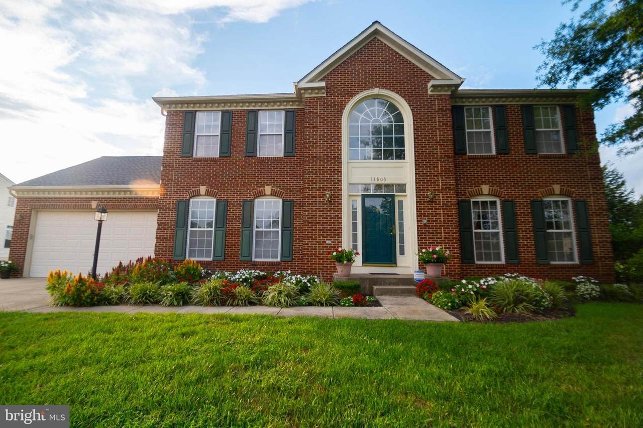 13803 Water Fowl Way - Photo 1