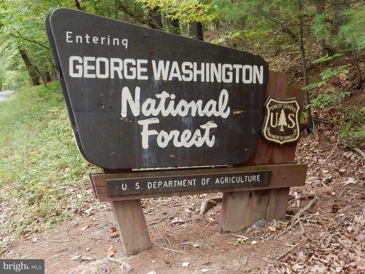 Trout Run Road - Photo 1