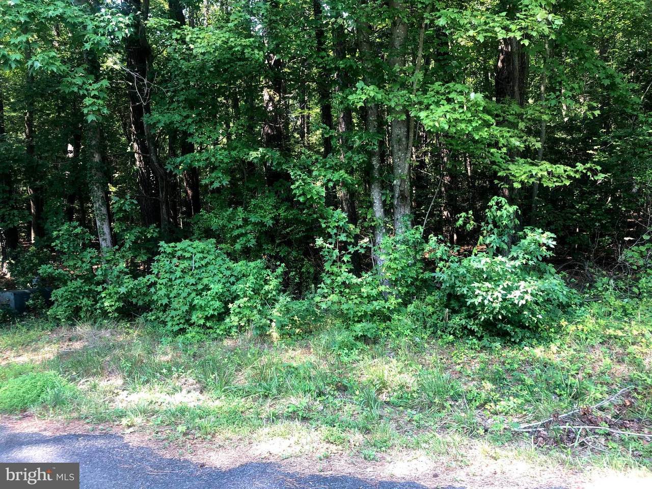 Lot 9 Portney's Overlook Road - Photo 1