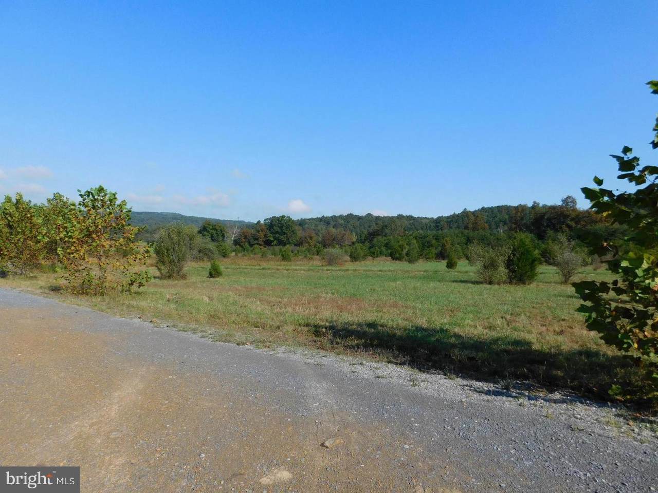 Lot 16 Paso Fino Drive - Photo 1