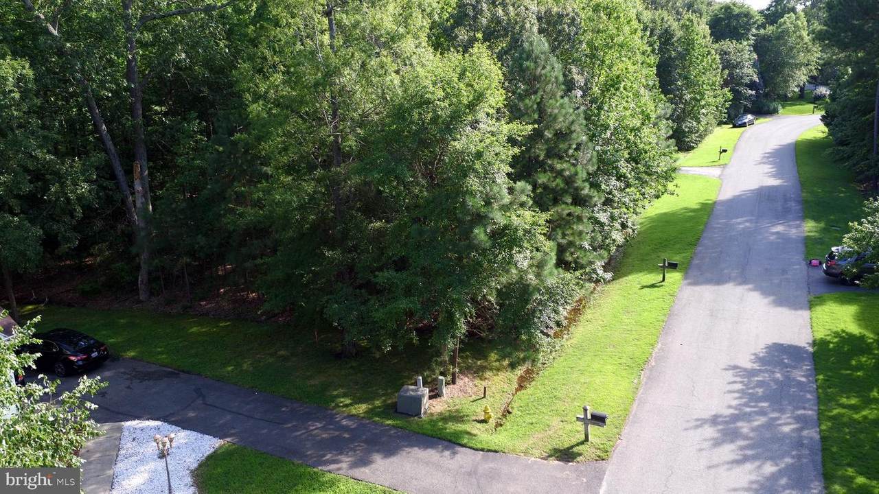 11255 Annabelle Drive - Photo 1