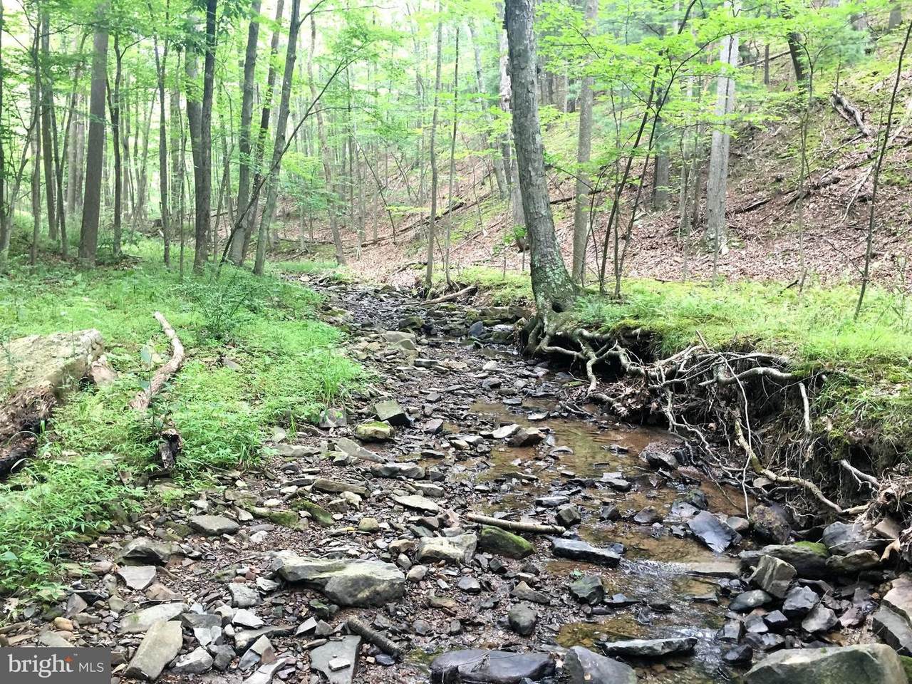 11.7AC Elbinsville Road - Photo 1