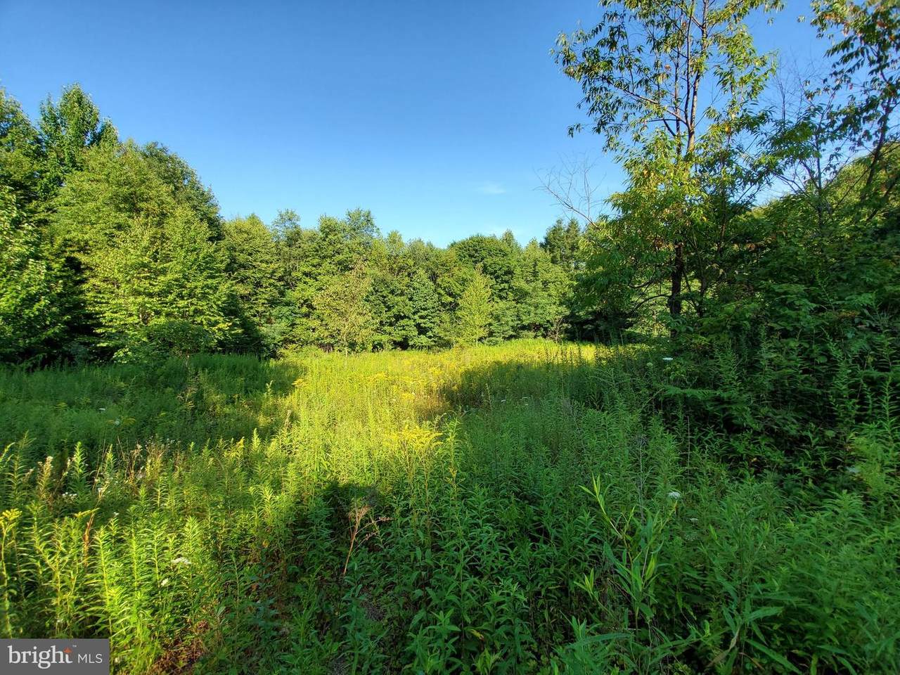 30 Woodstream Ct- Lot 30/The Highlands - Photo 1
