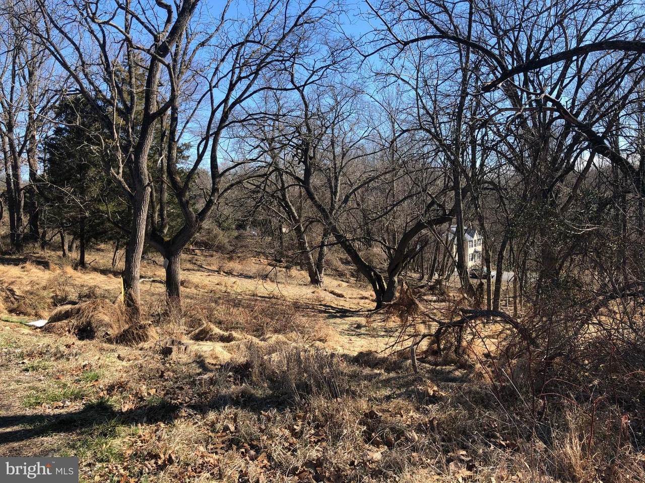 15501 Avery Rd - Photo 1