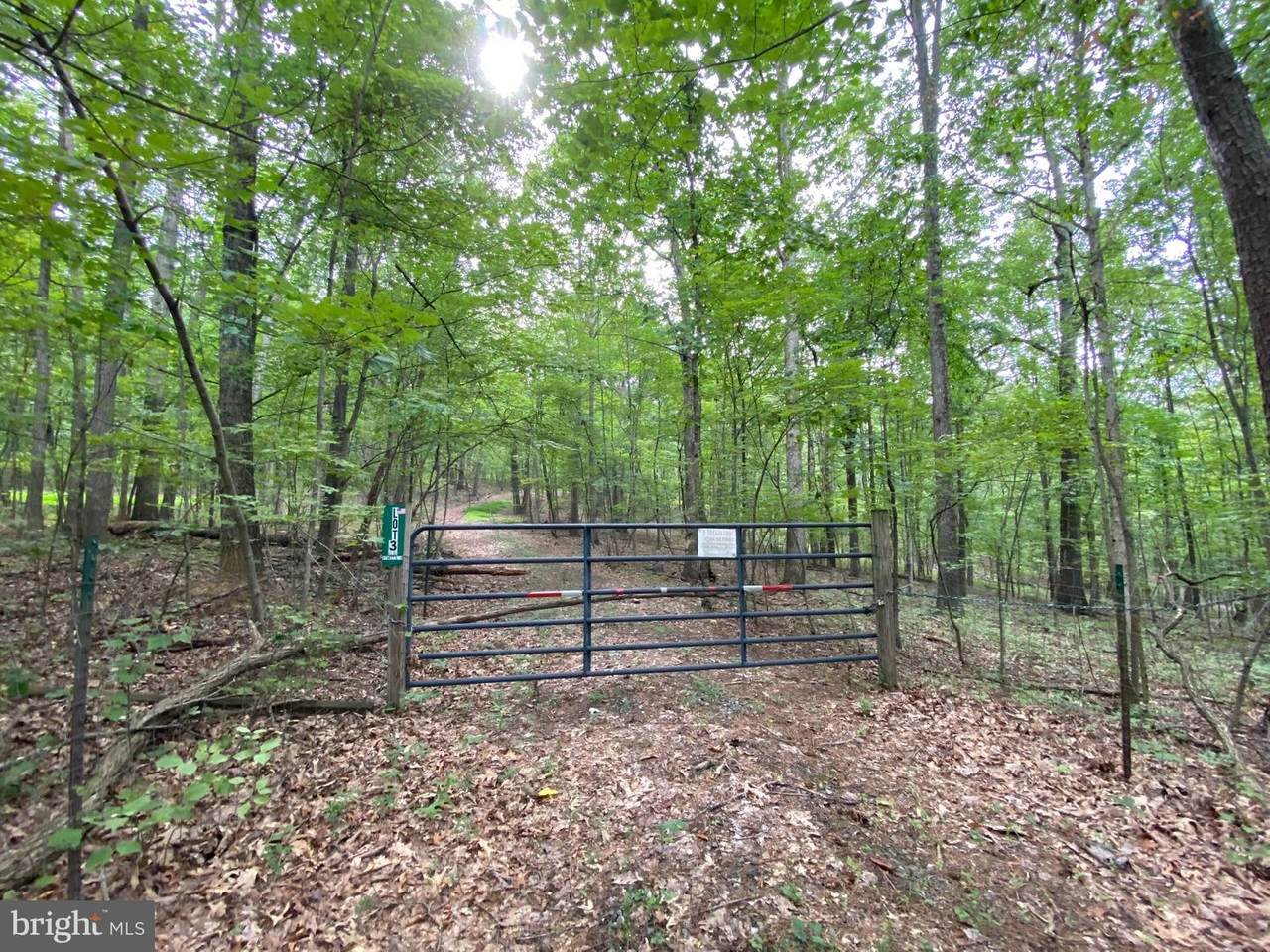 Lot 3 Independence Lane - Photo 1