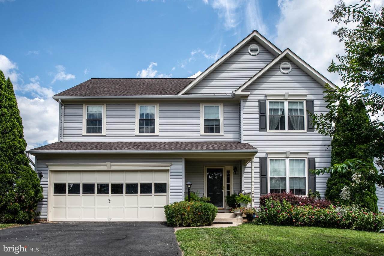 13205 Orkin Lane - Photo 1