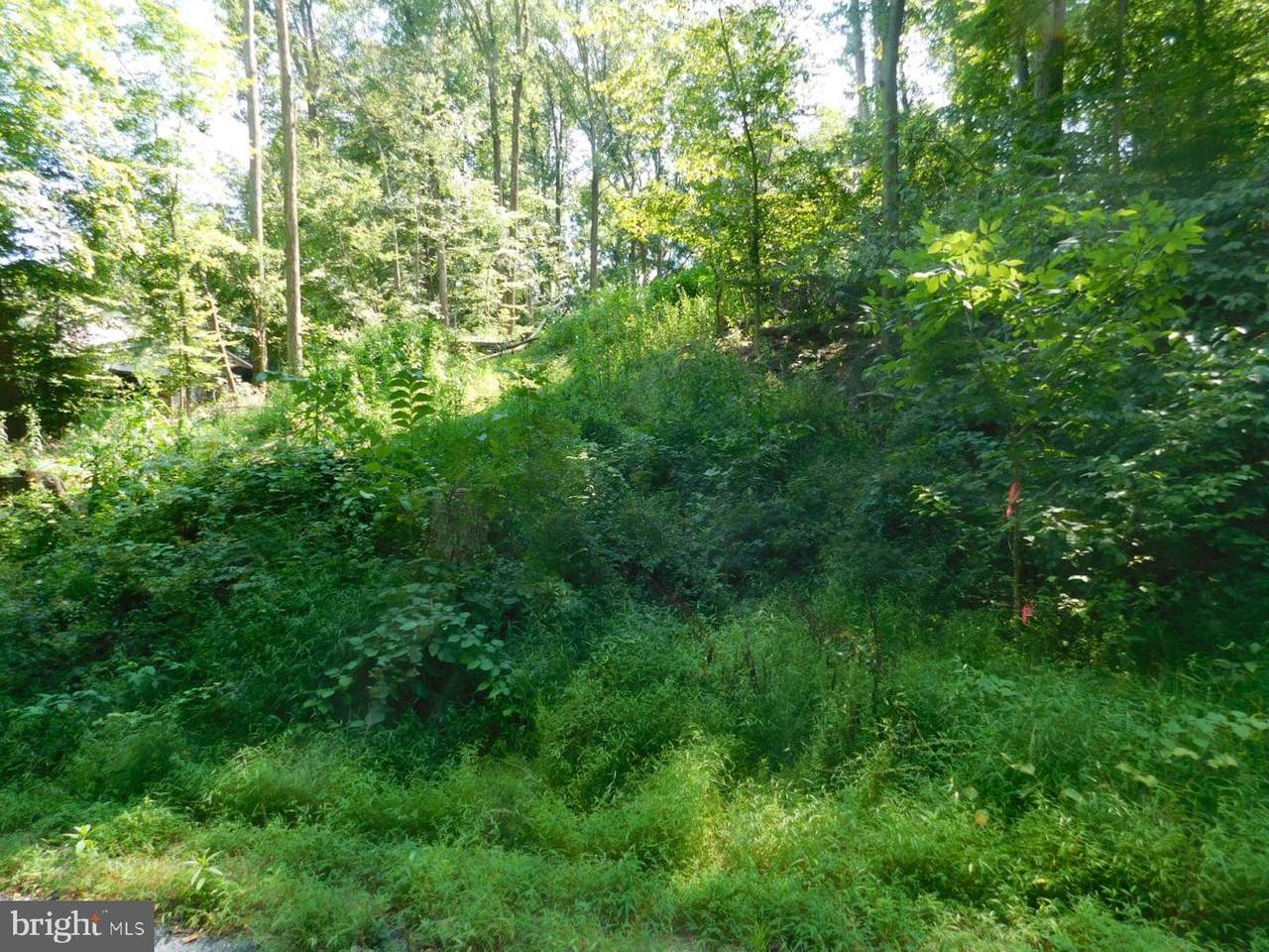 11 Spring Trail - Photo 1