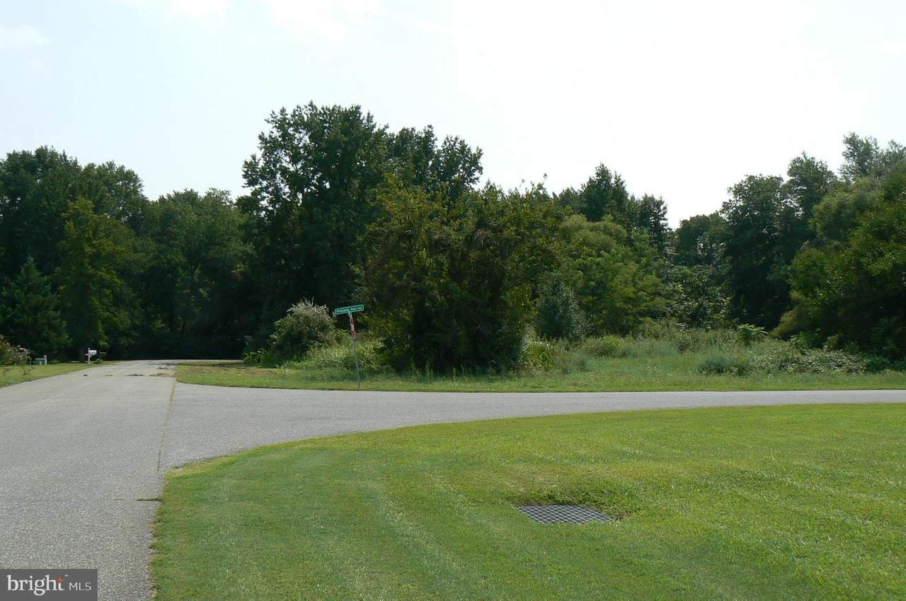 Lots 10/11 Mt Vernon Mt. Vernon Drive/Princess Ann Ave. Avenue - Photo 1