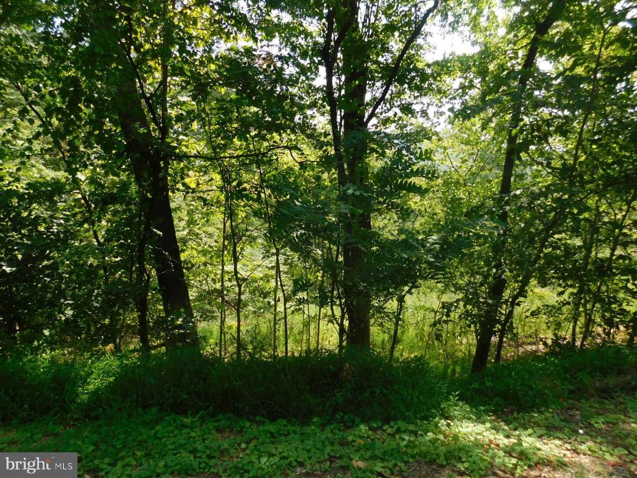 13 Winter Trail - Photo 1