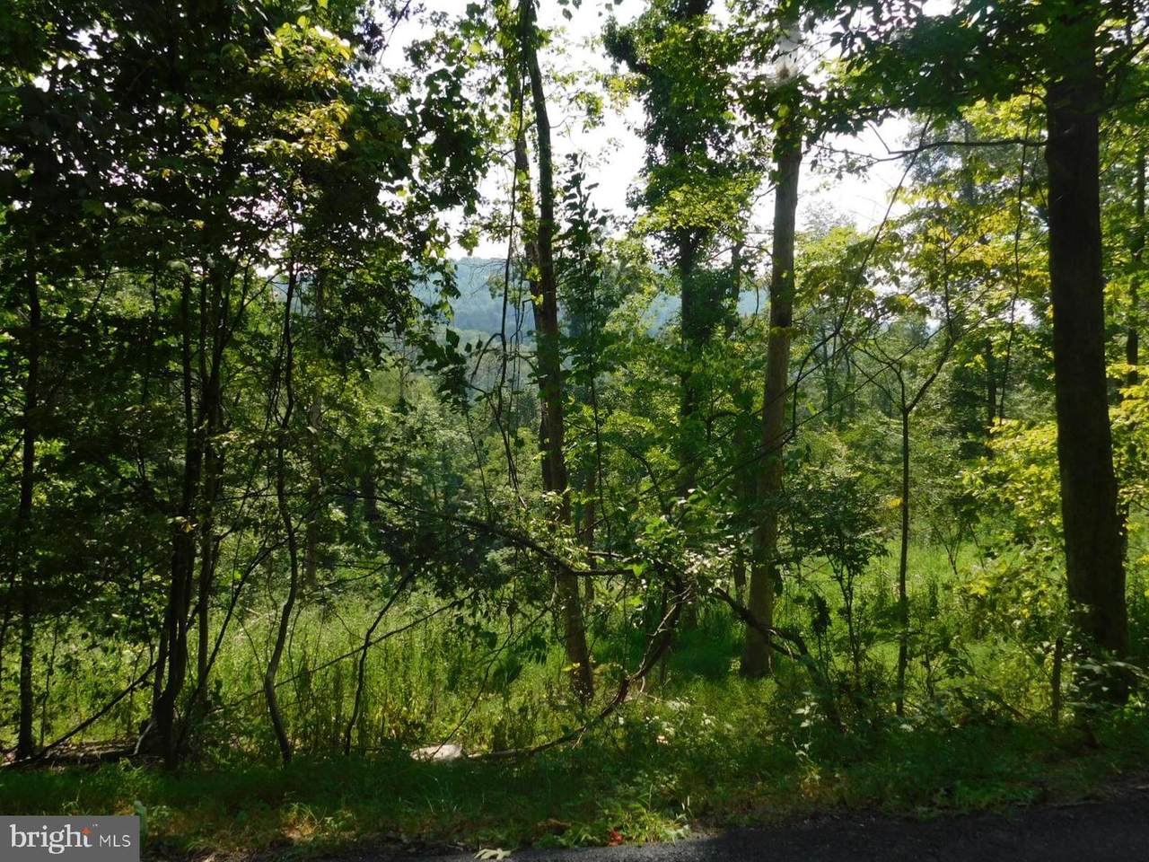 15 Winter Trail - Photo 1
