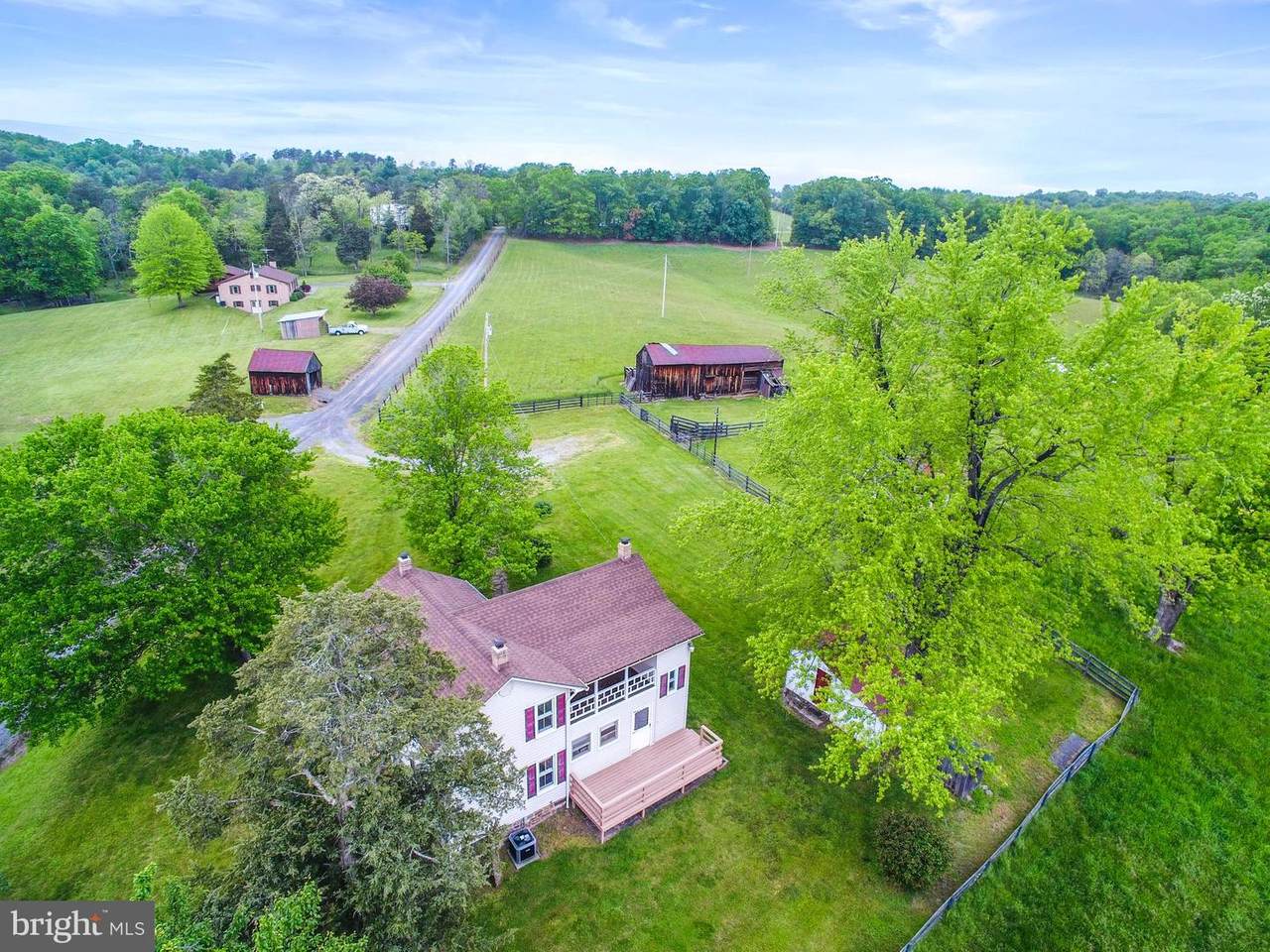 260 & 295 Mount Williams Lane - Photo 1