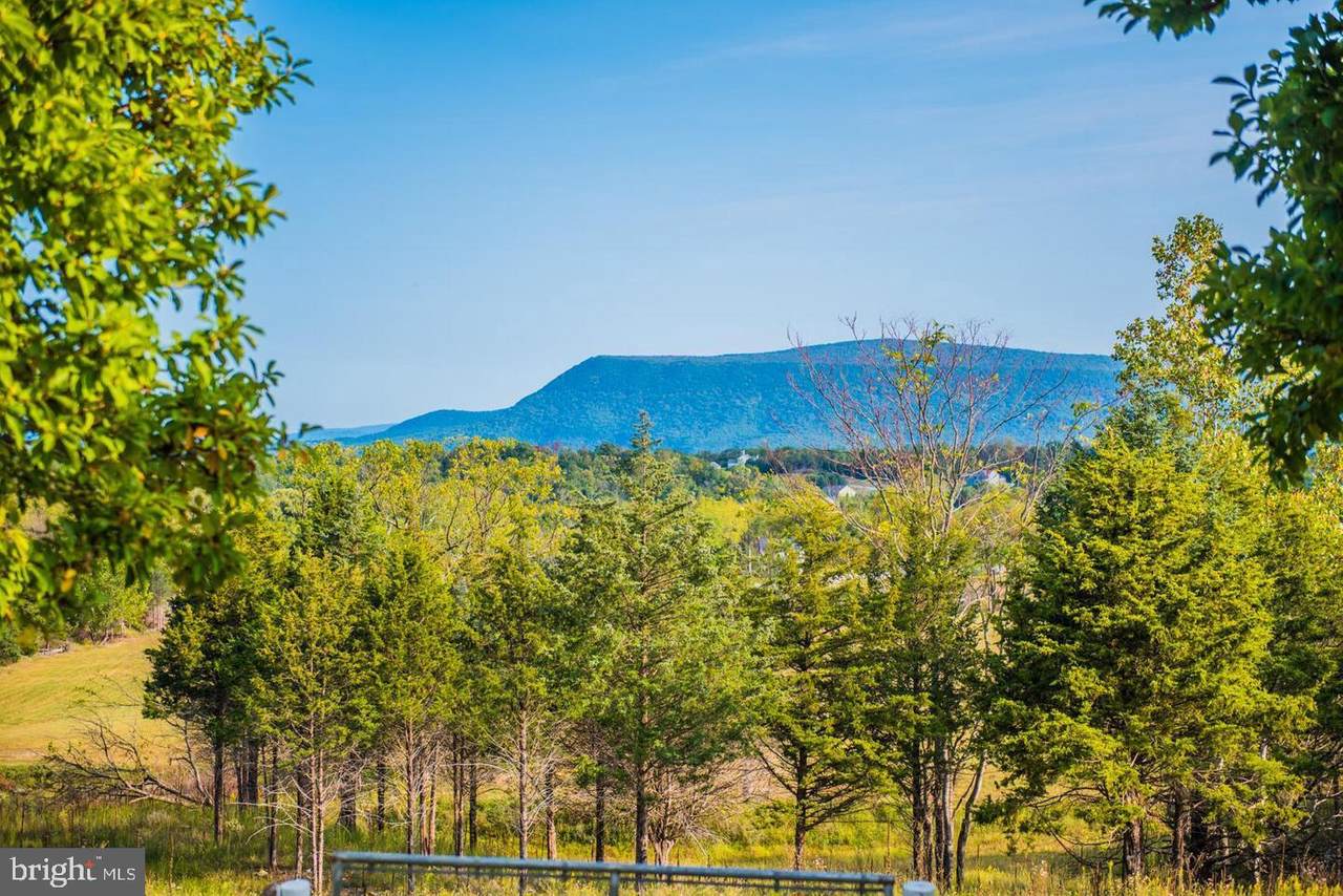 16015 Back Road - Photo 1
