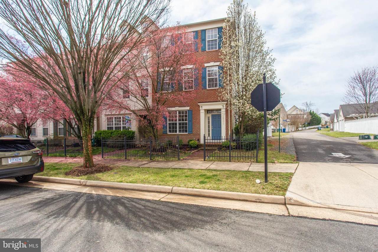 20377 Tholen Street - Photo 1