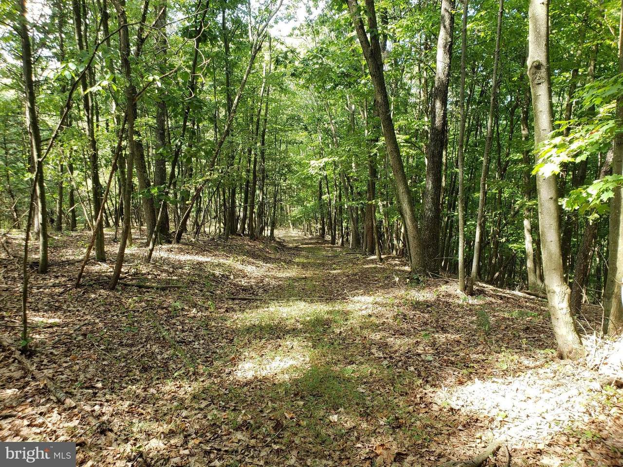0 Goldie Hollow Road - Photo 1