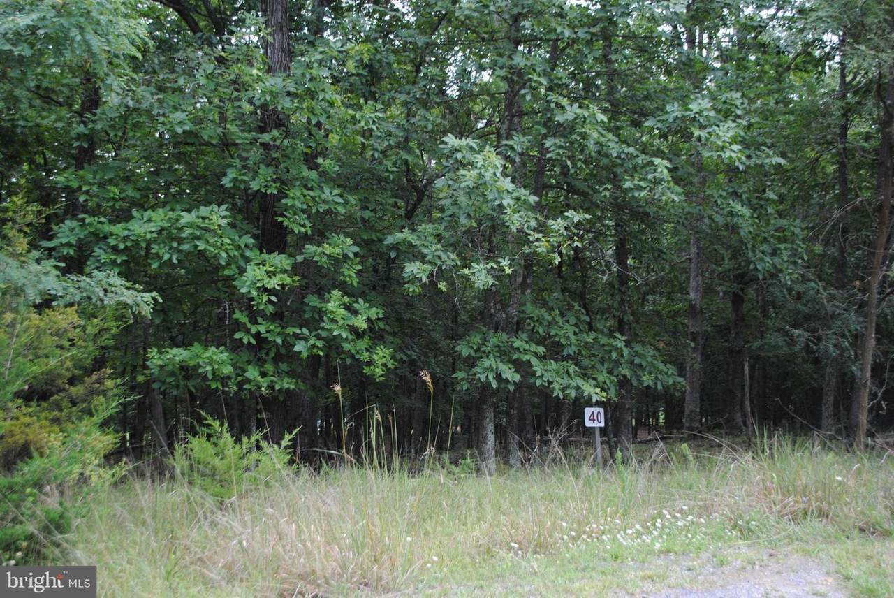 Lot 40 Berenger Drive - Photo 1