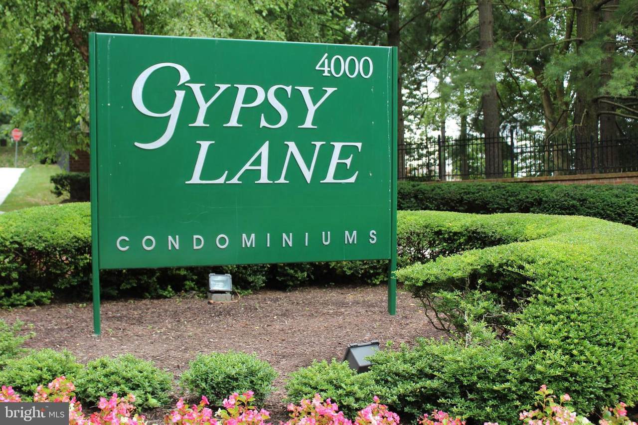 4000 Gypsy Lane - Photo 1