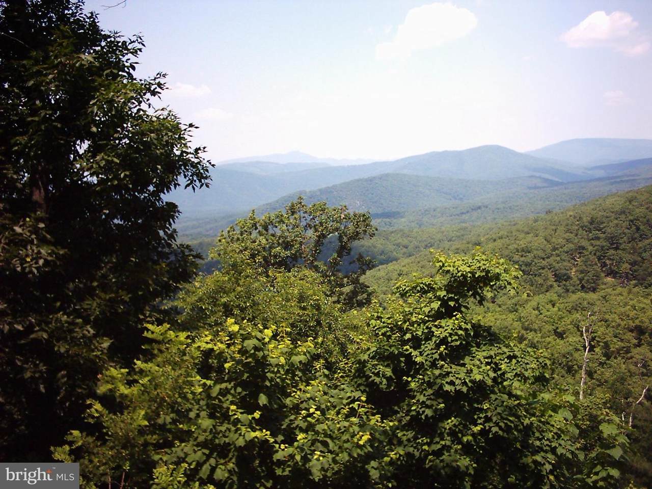 Off Dover Hollow - Photo 1