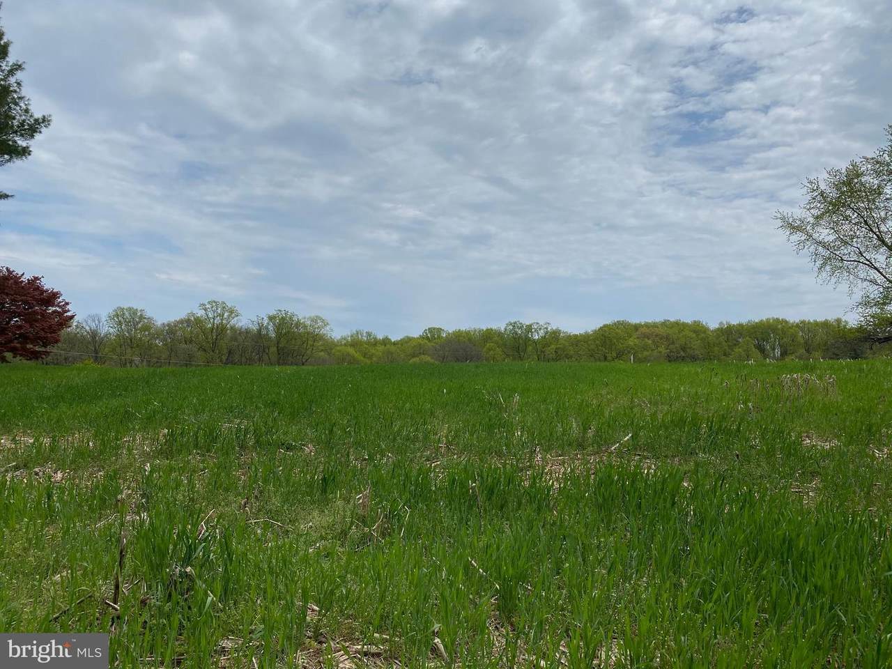 14007 Glen High Road - Photo 1