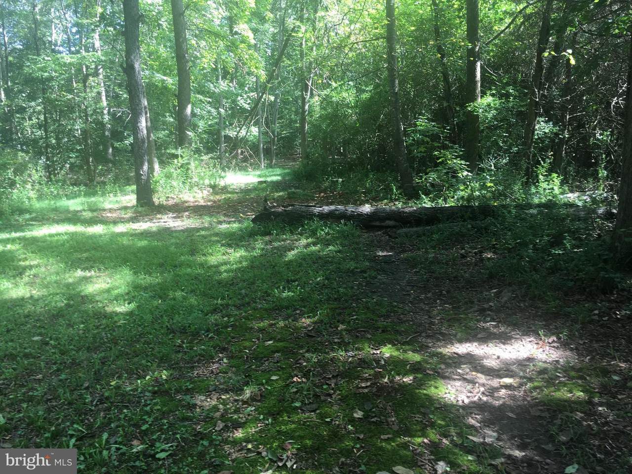 6735 Bristol Oak Place - Photo 1
