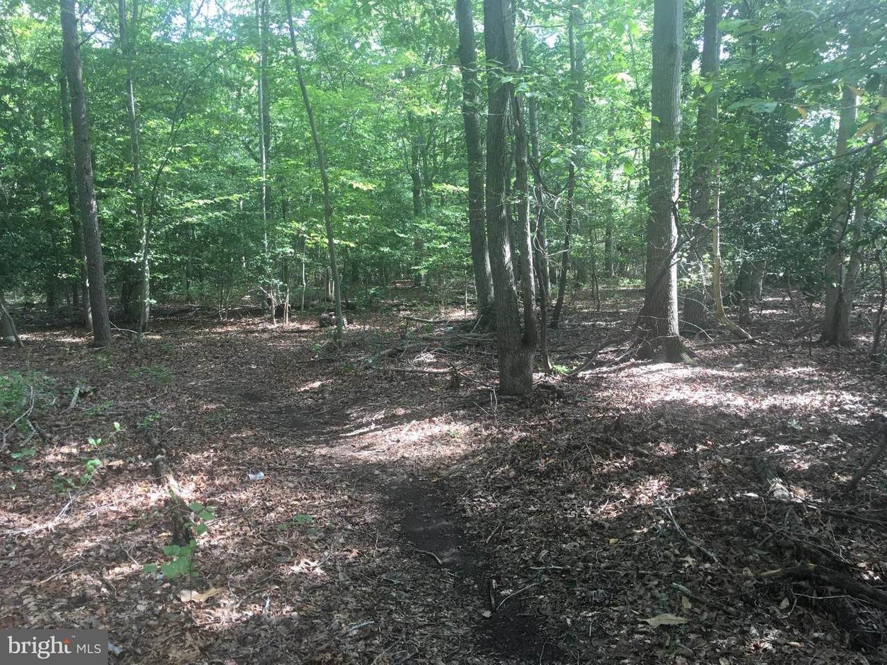 6745 Bristol Oak Place - Photo 1