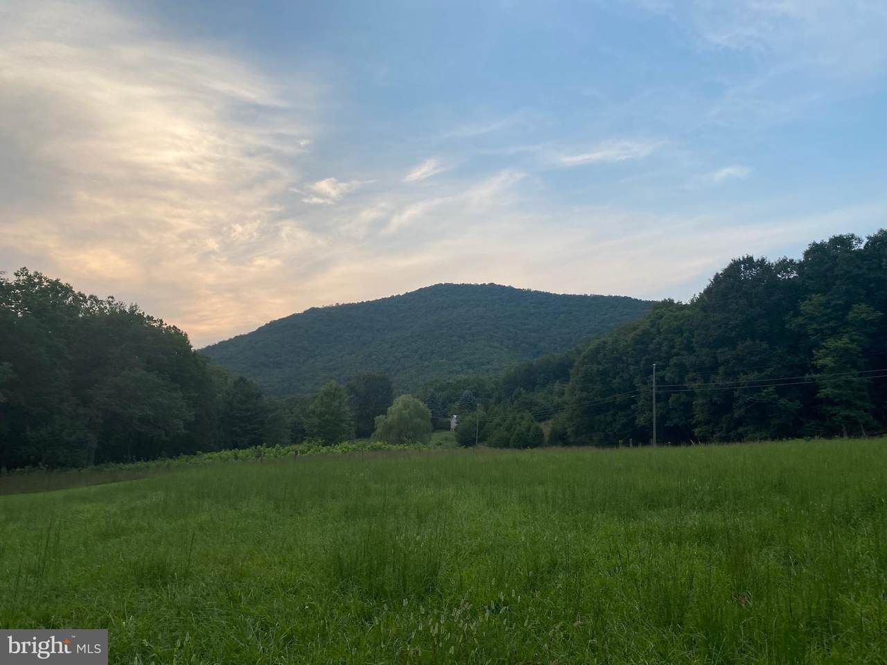 1779 Fort Run Road - Photo 1
