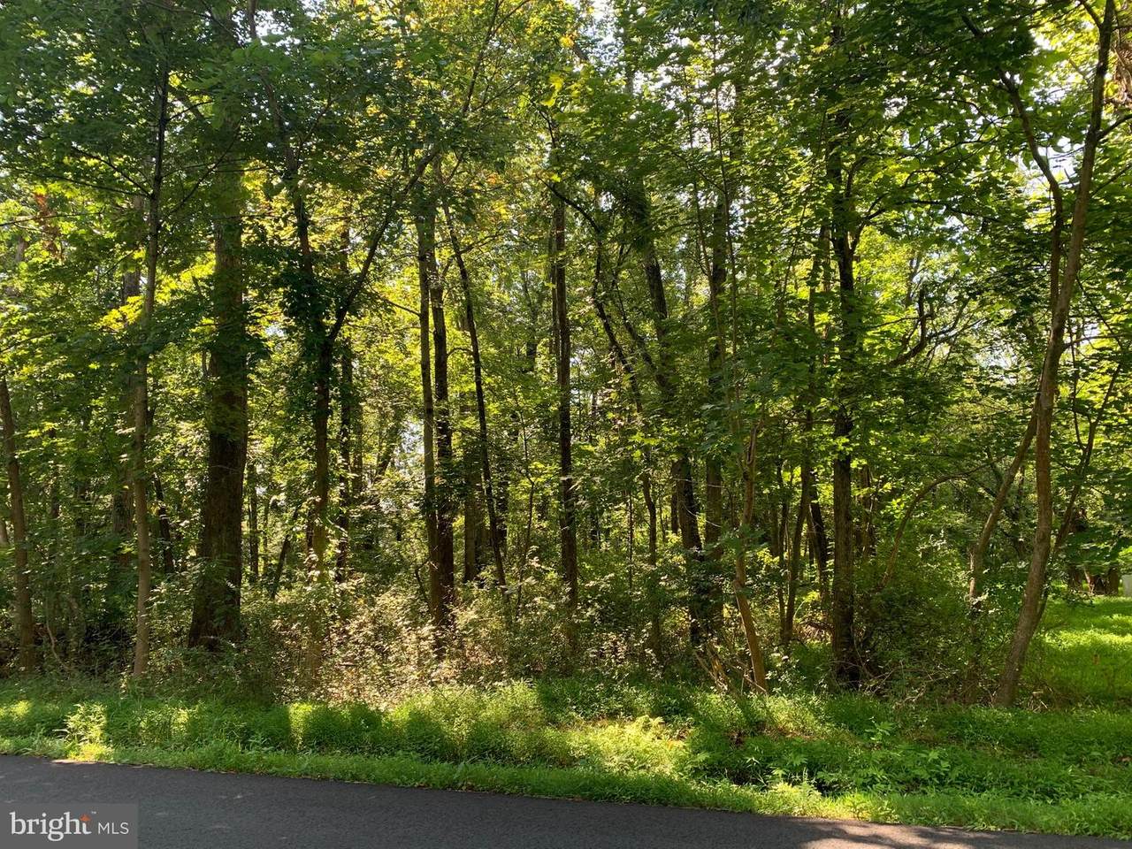 51 Camp Meeting Avenue - Photo 1