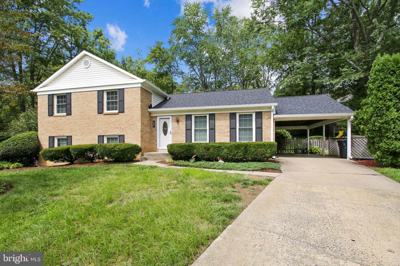 8506 Bromley Court - Photo 1