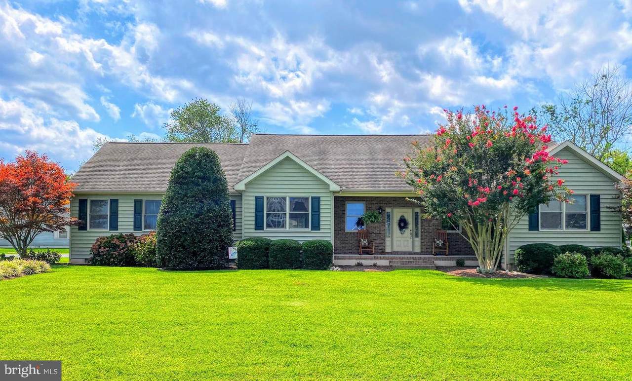 30455 Half Shell Road - Photo 1