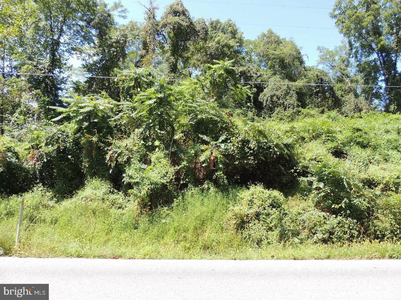 17612 Tract Road - Photo 1