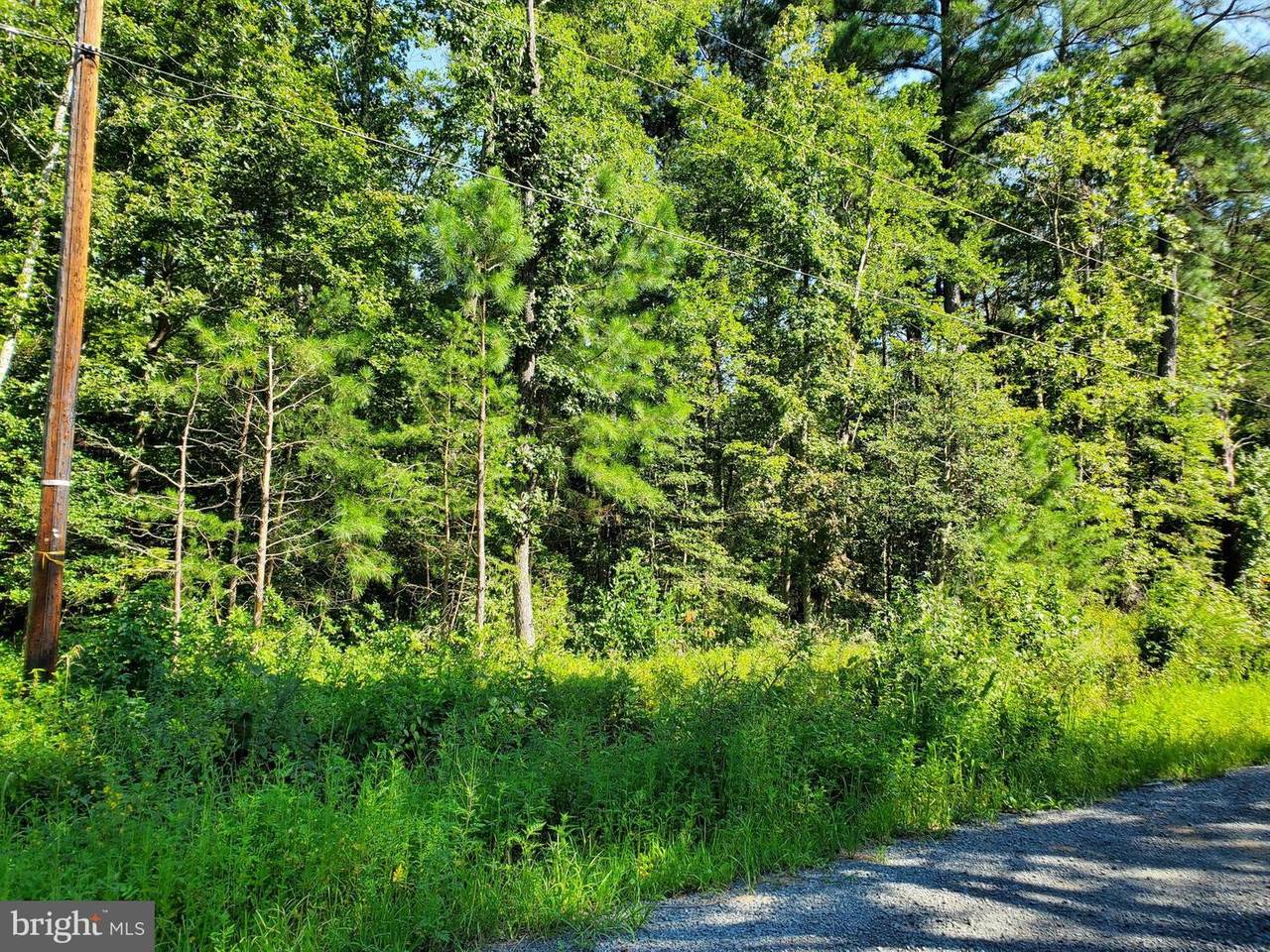 Lot 8 Lakeview Drive - Photo 1