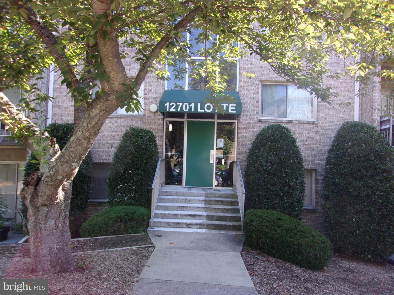 12701 Lotte Drive - Photo 1
