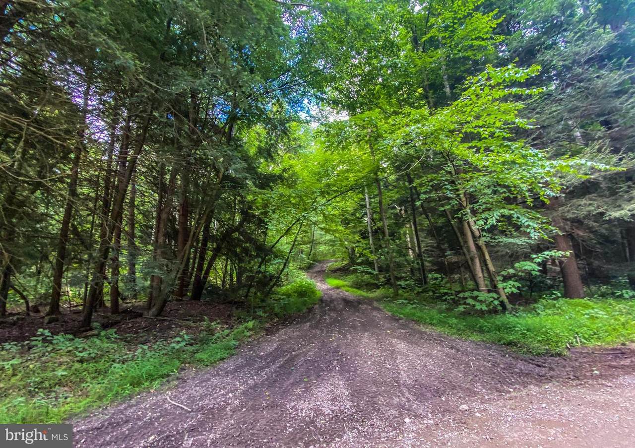 Lot 3 Deer Run Road - Photo 1