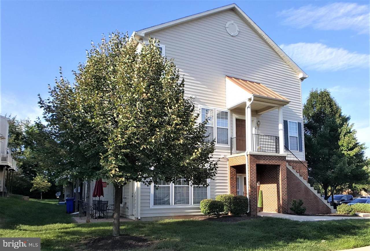 6510 Daytona Court - Photo 1