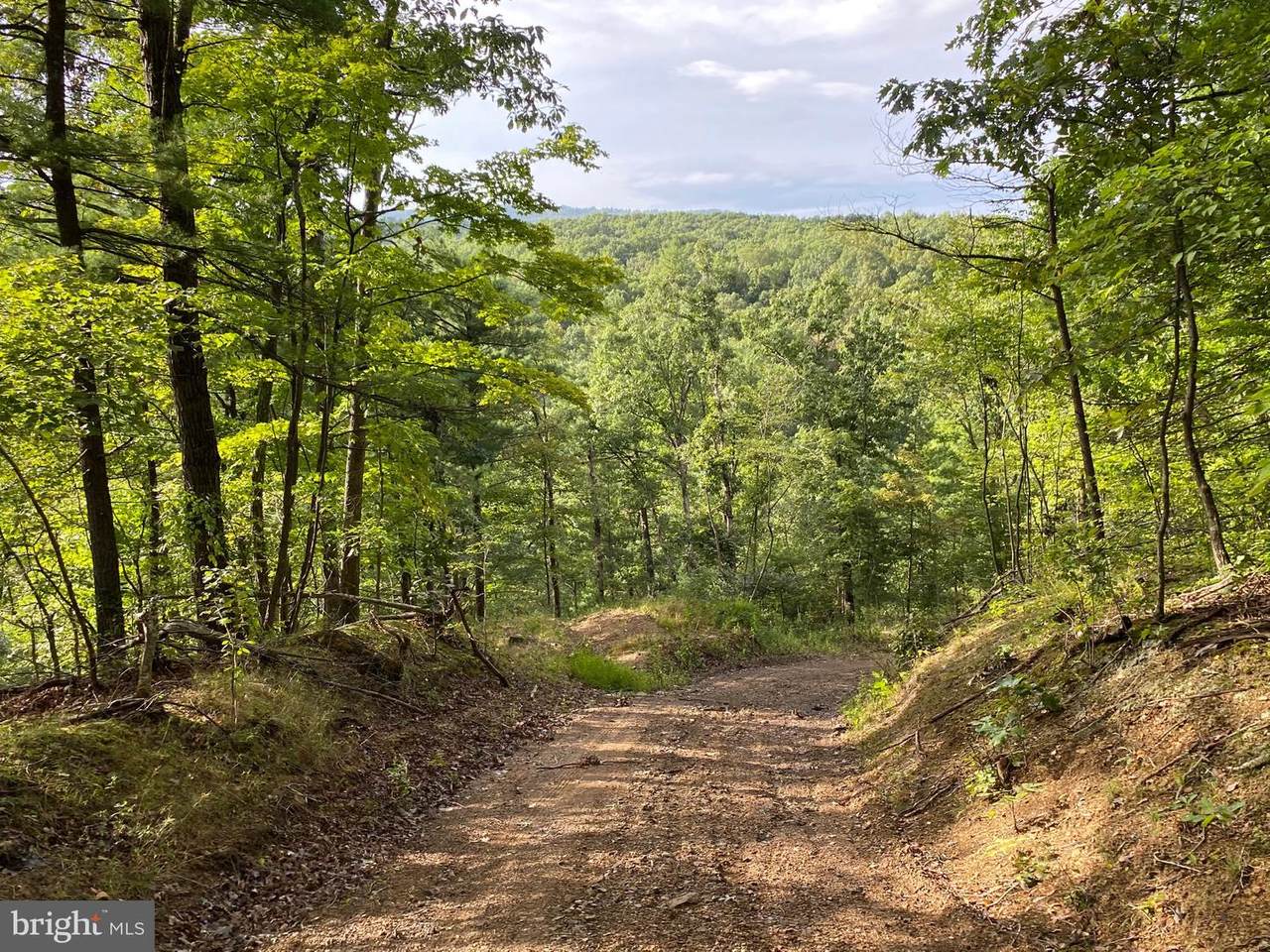 Rt 9 W Longhollow - Photo 1