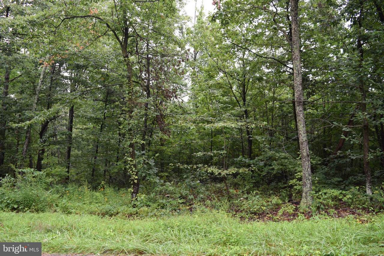 0 Huron Trail - Photo 1