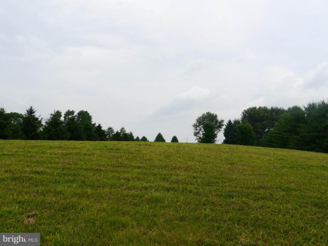 Mt Tabor Road - Photo 1