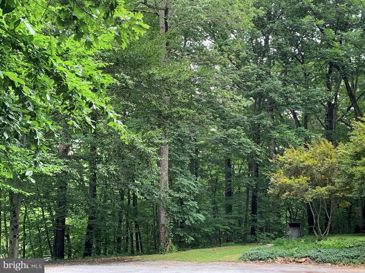 Bowman Hollow Road - Photo 1