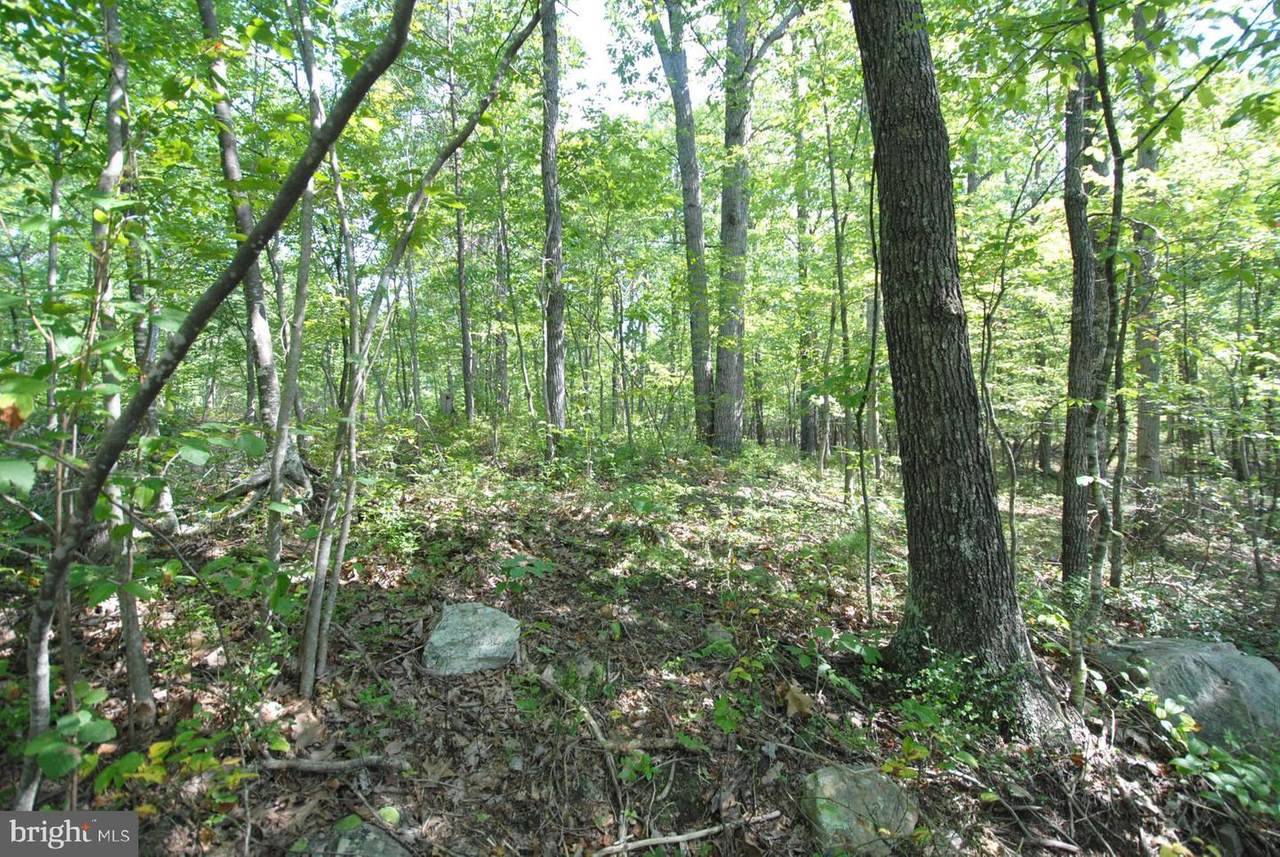 Hunters Valley - Lot 20 - Photo 1