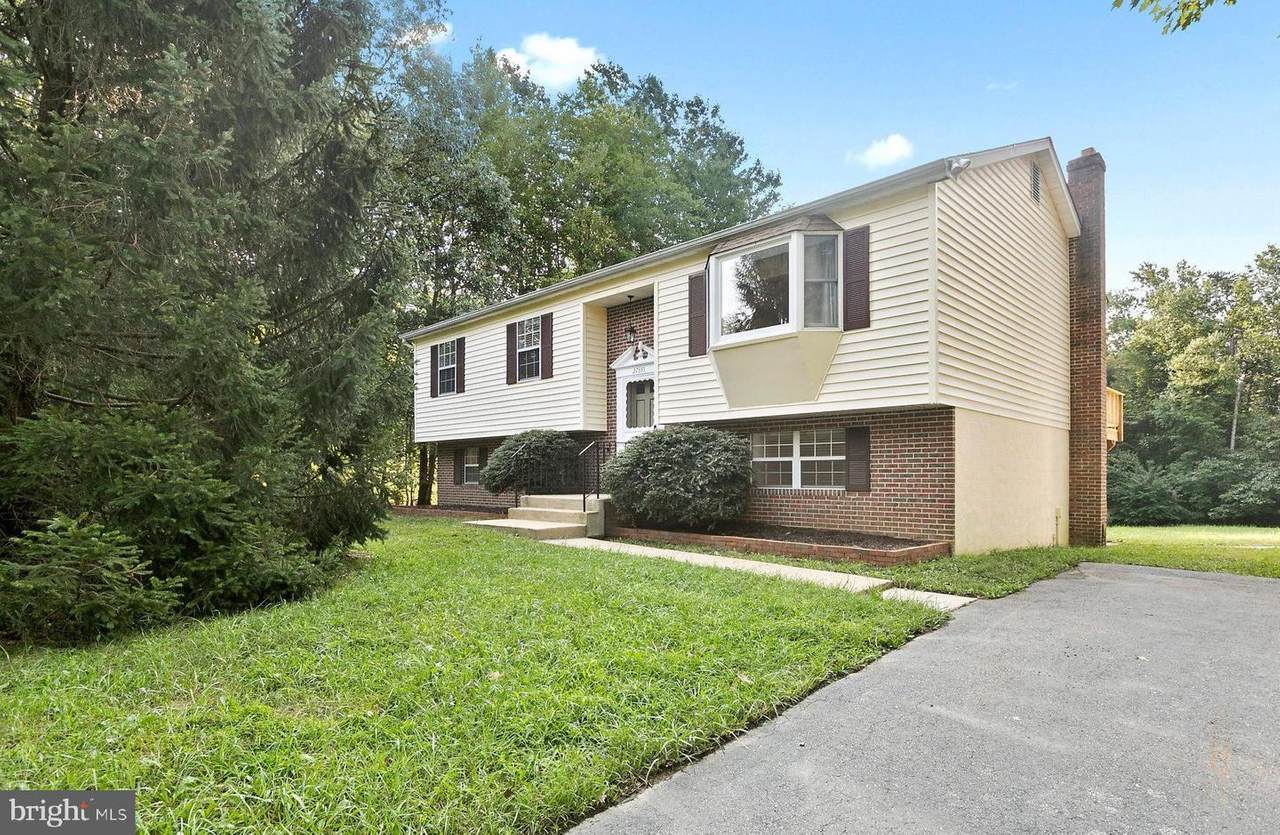 27335 Bosse Drive - Photo 1