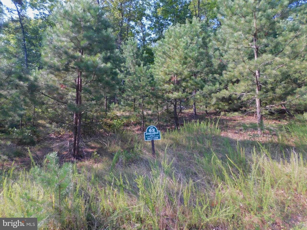 62 Toboggan Hill Trail - Photo 1