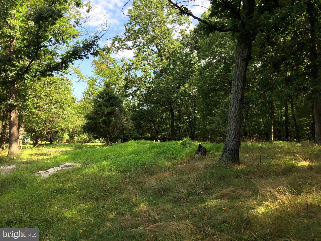 8 Cabin Lane - Photo 1