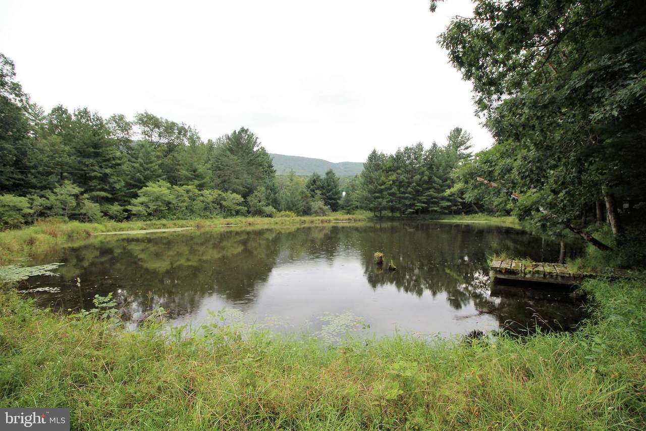 8301 Trout Run Rd - Photo 1