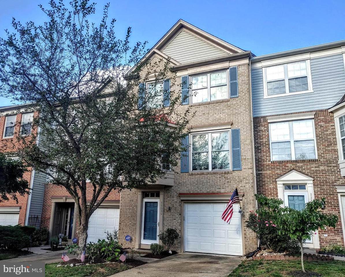 11539 Bertram Street - Photo 1