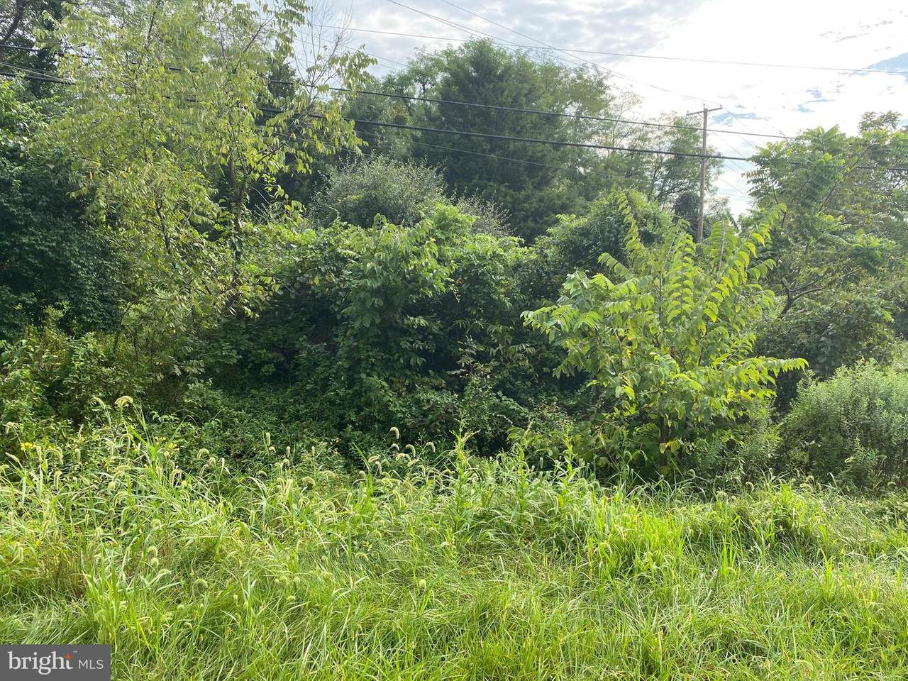 Lot 3 Old York Road - Photo 1