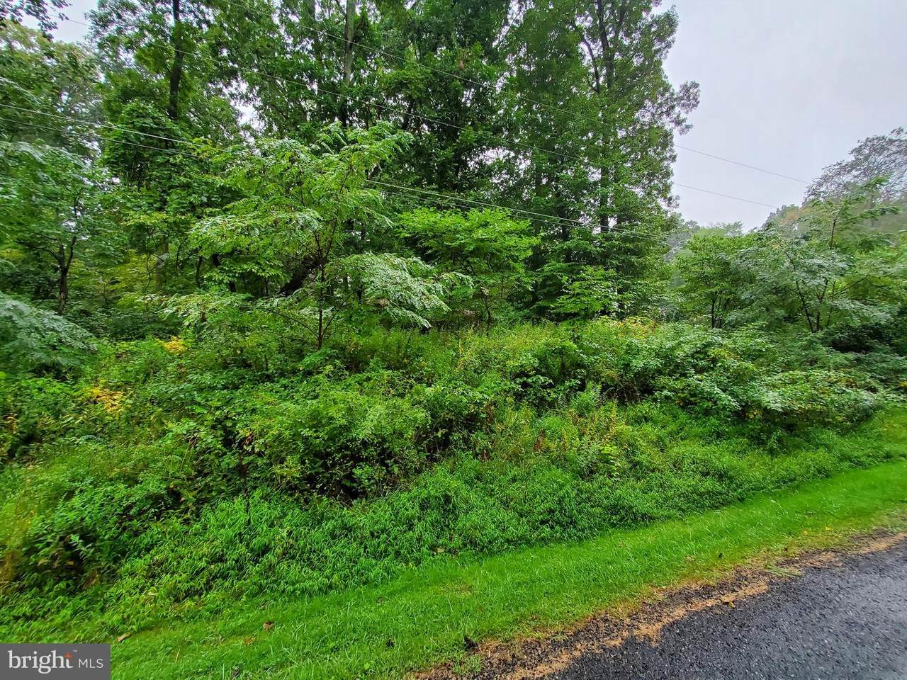 7 Connie Trail - Photo 1