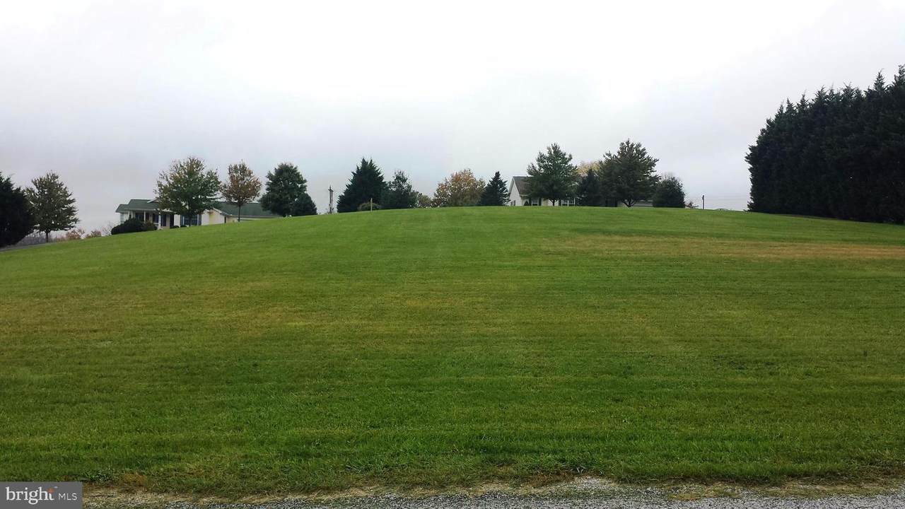 Lot 25B Lutz Road - Photo 1