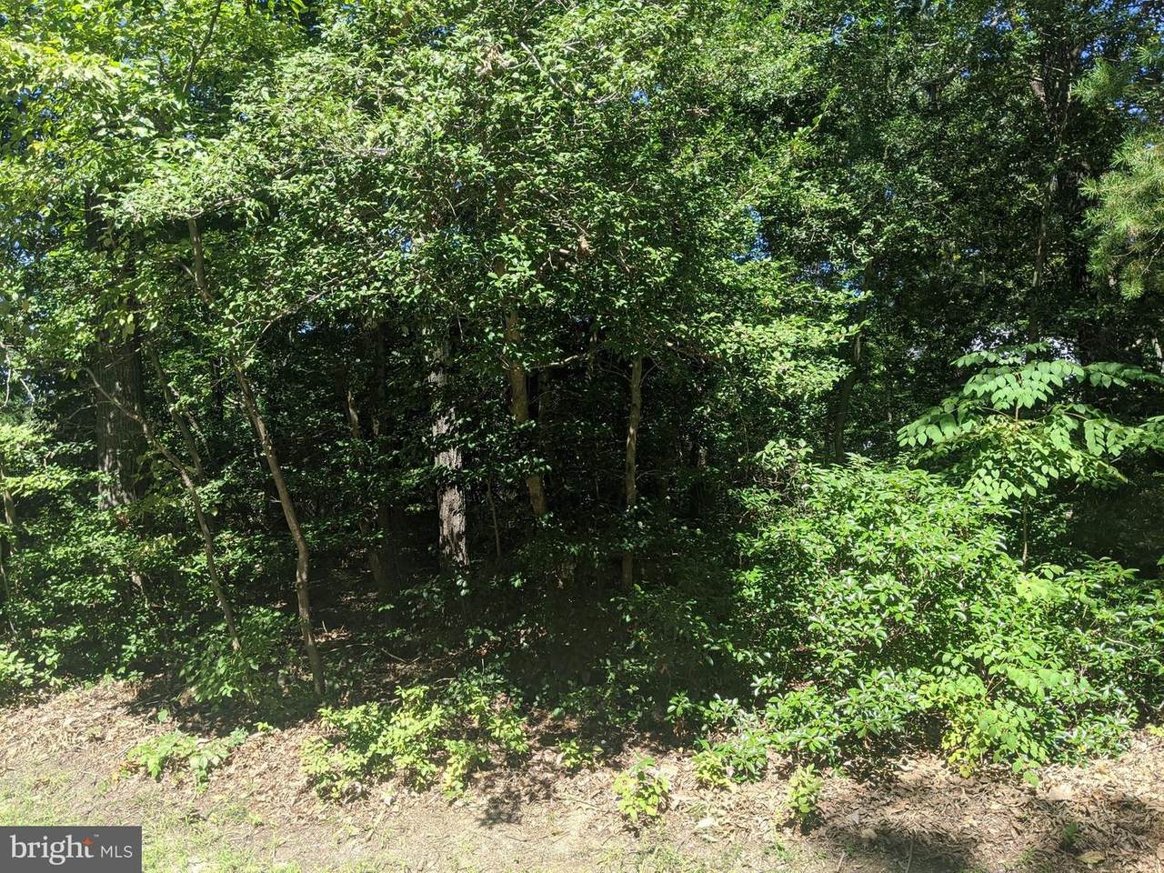 11544 Hoofbeat Trail - Photo 1