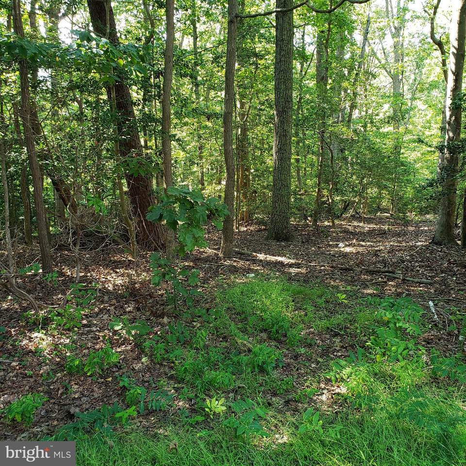 11551 Bowie Court - Photo 1